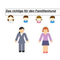 Hundefutter ohne Weizen - was beachten?